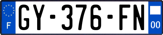 GY-376-FN
