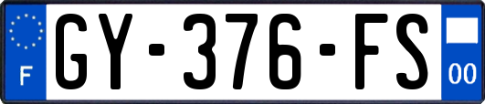 GY-376-FS