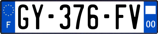 GY-376-FV