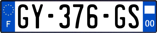 GY-376-GS
