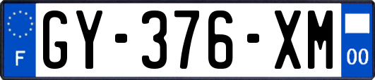 GY-376-XM
