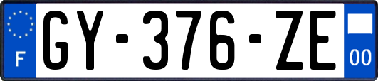 GY-376-ZE
