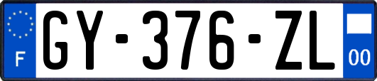 GY-376-ZL