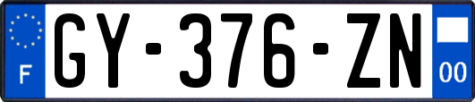 GY-376-ZN