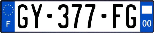 GY-377-FG