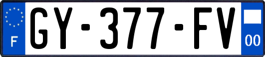 GY-377-FV