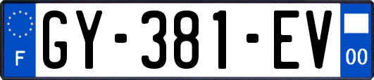 GY-381-EV