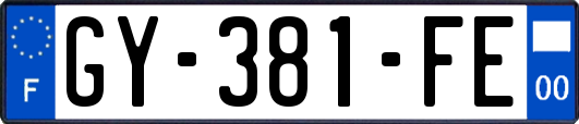 GY-381-FE
