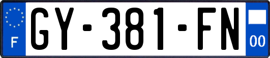 GY-381-FN