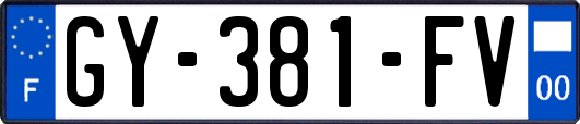GY-381-FV