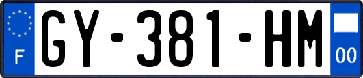 GY-381-HM