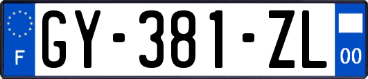 GY-381-ZL