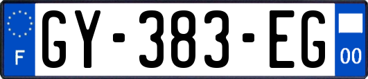 GY-383-EG