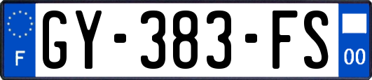 GY-383-FS