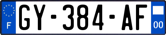 GY-384-AF
