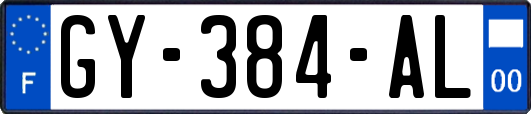 GY-384-AL