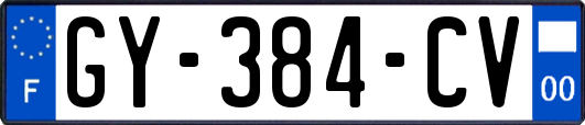 GY-384-CV