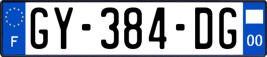 GY-384-DG