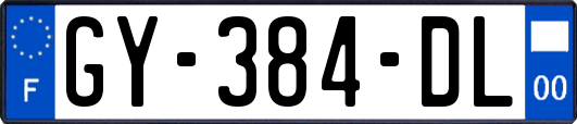 GY-384-DL