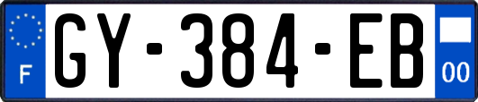 GY-384-EB