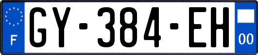 GY-384-EH