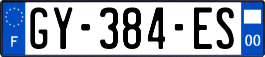 GY-384-ES