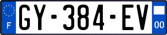 GY-384-EV
