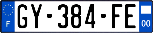 GY-384-FE