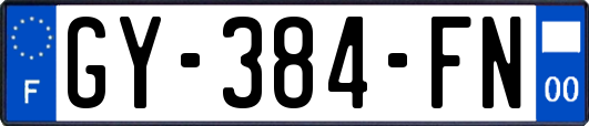 GY-384-FN