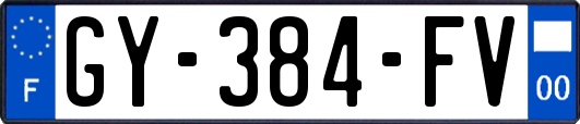 GY-384-FV