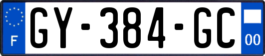 GY-384-GC