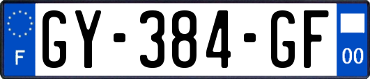GY-384-GF