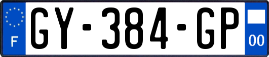 GY-384-GP