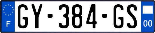 GY-384-GS