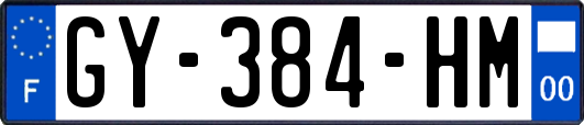 GY-384-HM