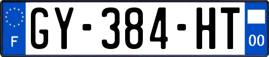GY-384-HT