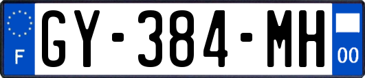 GY-384-MH