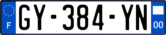 GY-384-YN