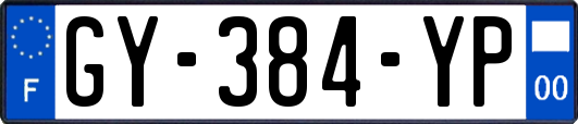 GY-384-YP