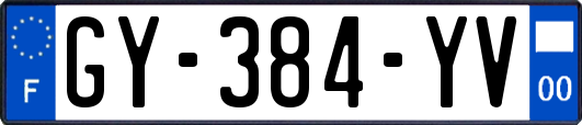 GY-384-YV