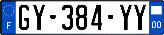 GY-384-YY