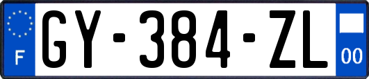 GY-384-ZL