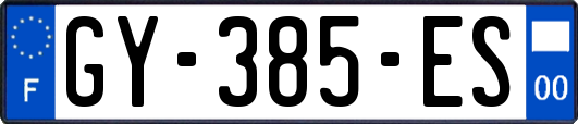 GY-385-ES