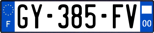 GY-385-FV