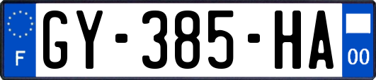 GY-385-HA