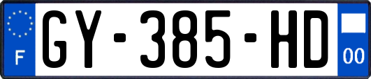 GY-385-HD