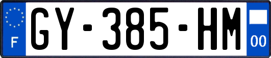 GY-385-HM