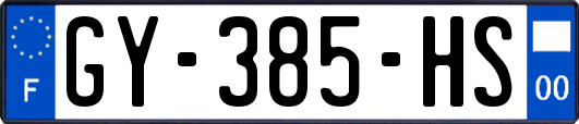GY-385-HS