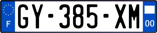 GY-385-XM