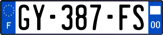 GY-387-FS